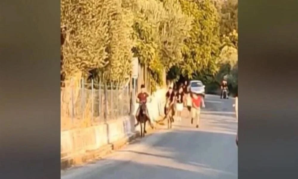 Δήμος Μυτιλήνης για «γαϊδουρομαχίες» στην Κώμη: «Δεν είναι έθιμο... οι υπεύθυνοι θα τιμωρηθούν»